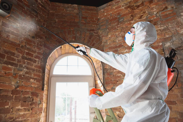 Best Biohazard Mold Removal  in Boothwyn, PA